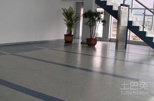 家装塑胶地板选购指南与特点解析